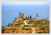 Sardinia Lighthouse on Coast - Sardinia 