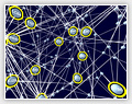 Egocentric Network Exploration for Immersive Analytics